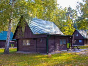 Holiday Home Kemp Stříbrný rybník-3 by Interhome